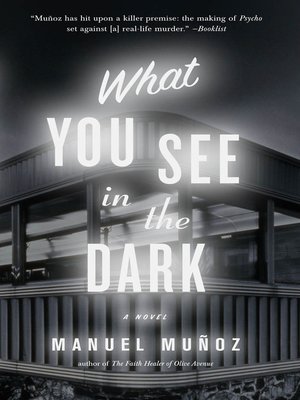 cover image of What You See in the Dark